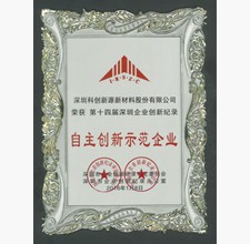 自主創(chuàng)新示范企業(yè)